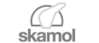 SKAMOL1